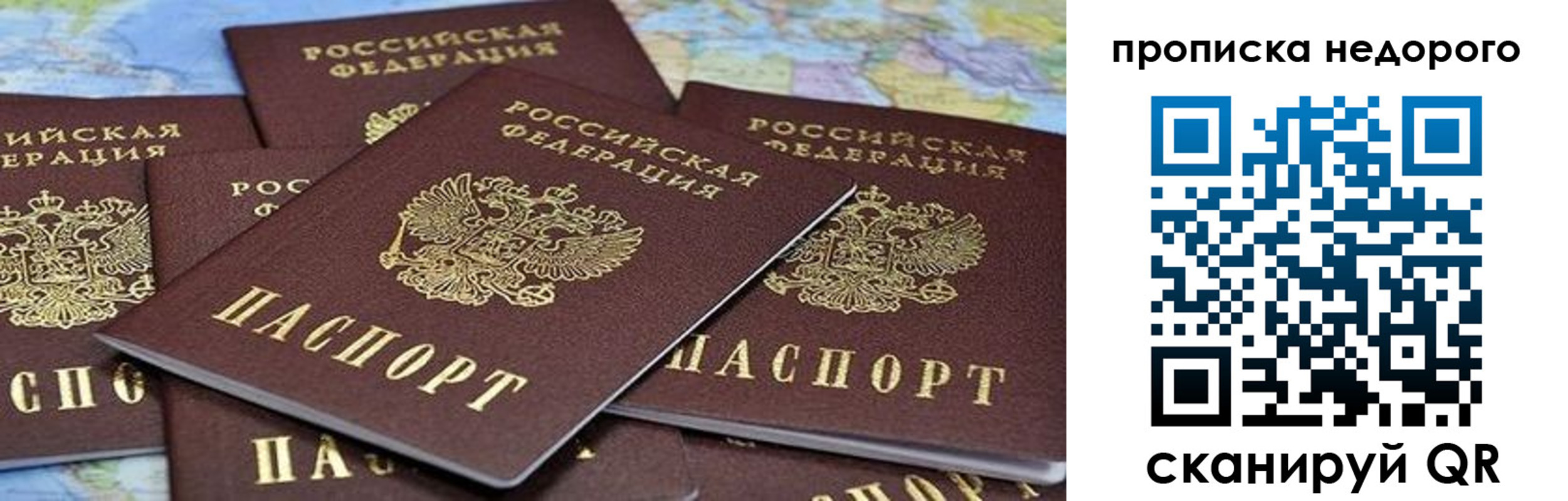 купить прописку в Кольчугино